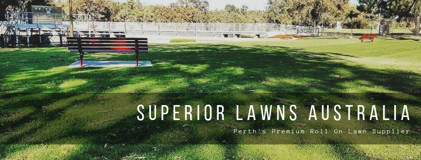 Superior Lawns Australia | 775 Gnangara Rd, Lexia WA 6079, Australia | Phone: (08) 9303 2627