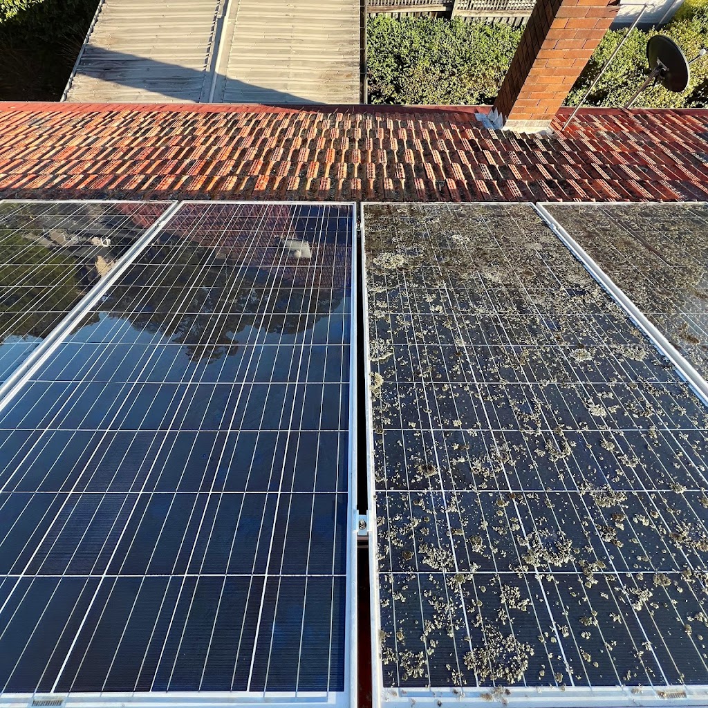 Mint Exterior Cleaning | Marrickville Rd, Dulwich Hill NSW 2203, Australia | Phone: 0405 599 234