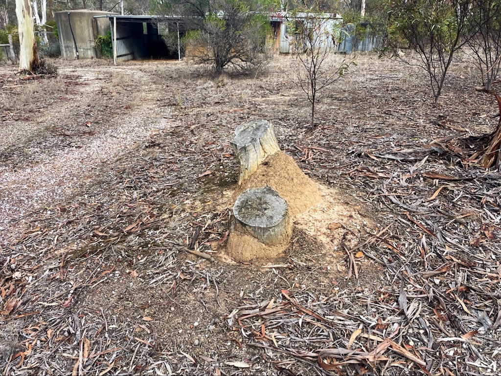 Macedon Ranges Termite Specialist Pty Ltd | 5 Rimfire Ct, New Gisborne VIC 3438, Australia | Phone: 0422 370 058
