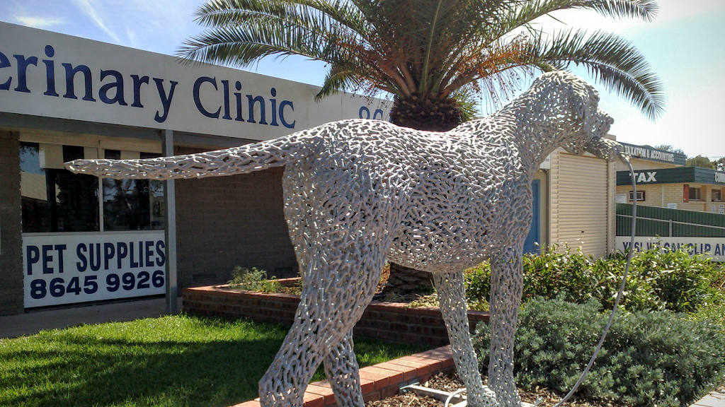 Whyalla Veterinary Clinic | veterinary care | 97 Mcdouall Stuart Ave, Whyalla Stuart SA 5608, Australia | 0886459926 OR +61 8 8645 9926