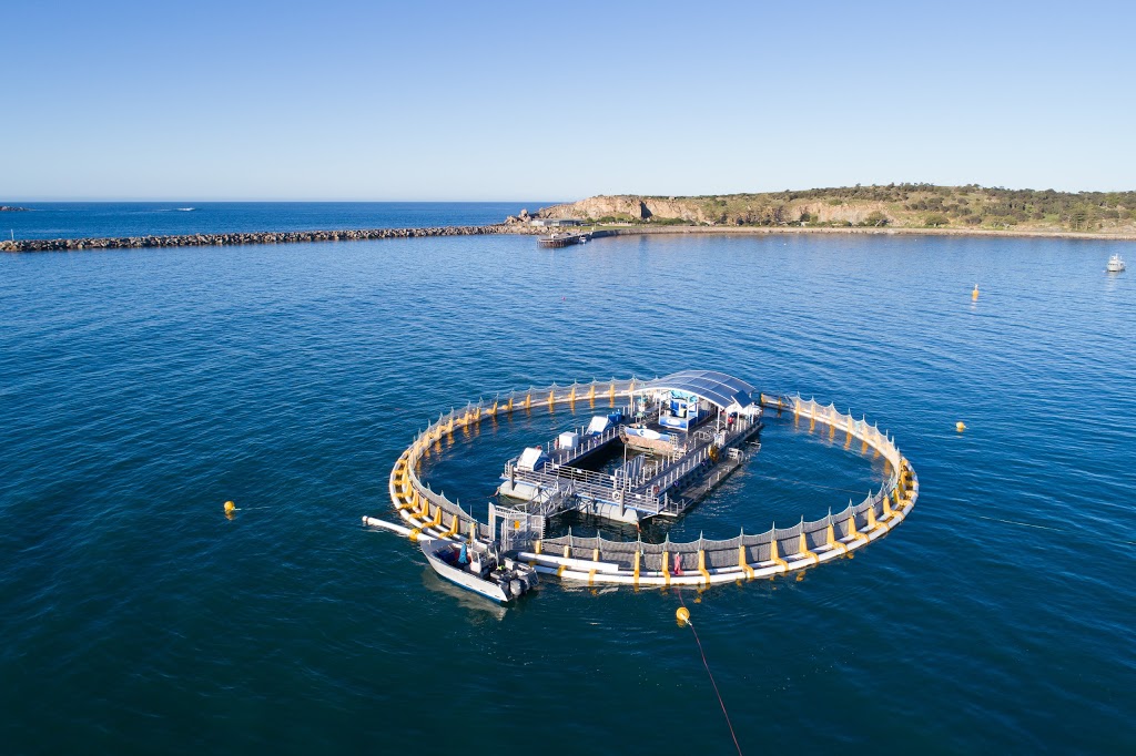 Oceanic Victor | tourist attraction | Granite Island Rd, Victor Harbor SA 5211, Australia | 0885527137 OR +61 8 8552 7137