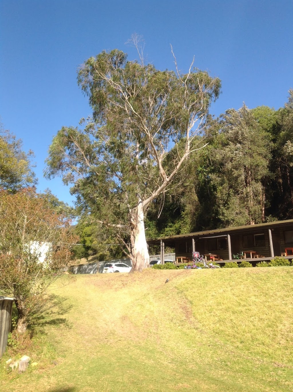 Hidden Valley | lodging | 986 Ourimbah Creek Rd, Palm Grove NSW 2258, Australia | 0243621438 OR +61 2 4362 1438