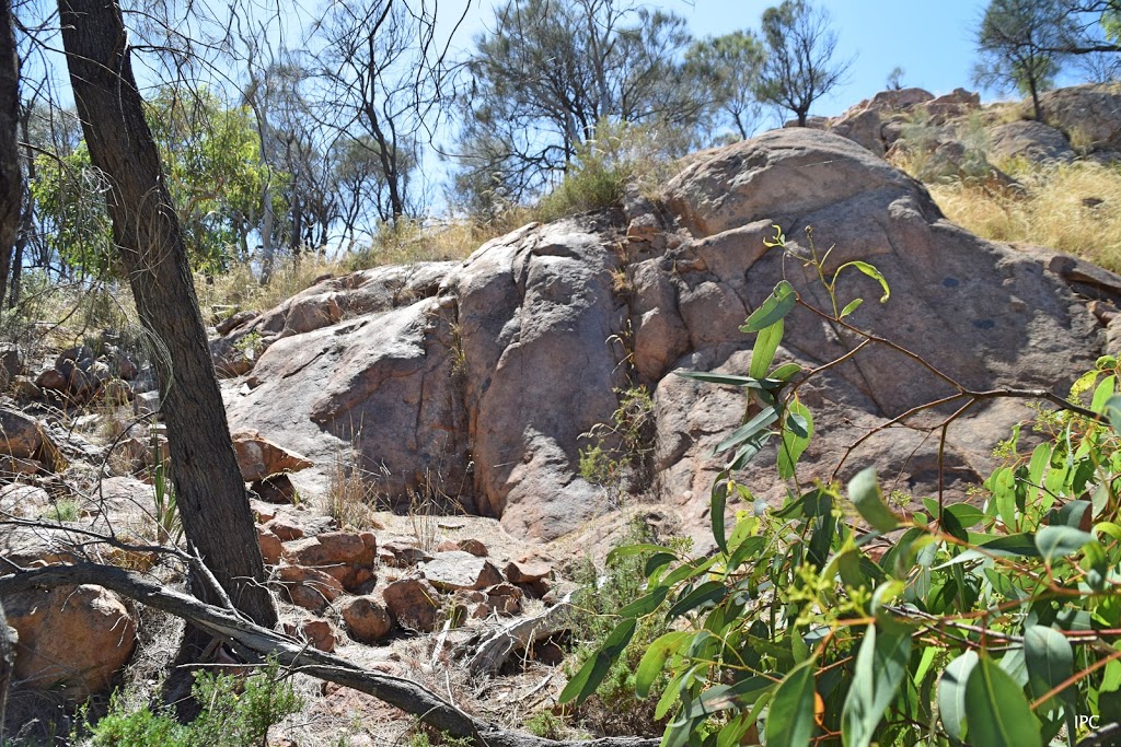 Mount Monster Conservation Park | park | Mount Monster Rd, Keith SA 5267, Australia | 0887622340 OR +61 8 8762 2340