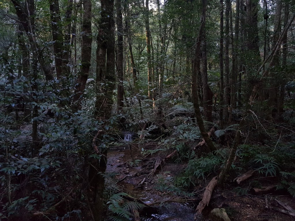 Myrtle Gully Walk | Quarry Rd, Toolangi VIC 3777, Australia