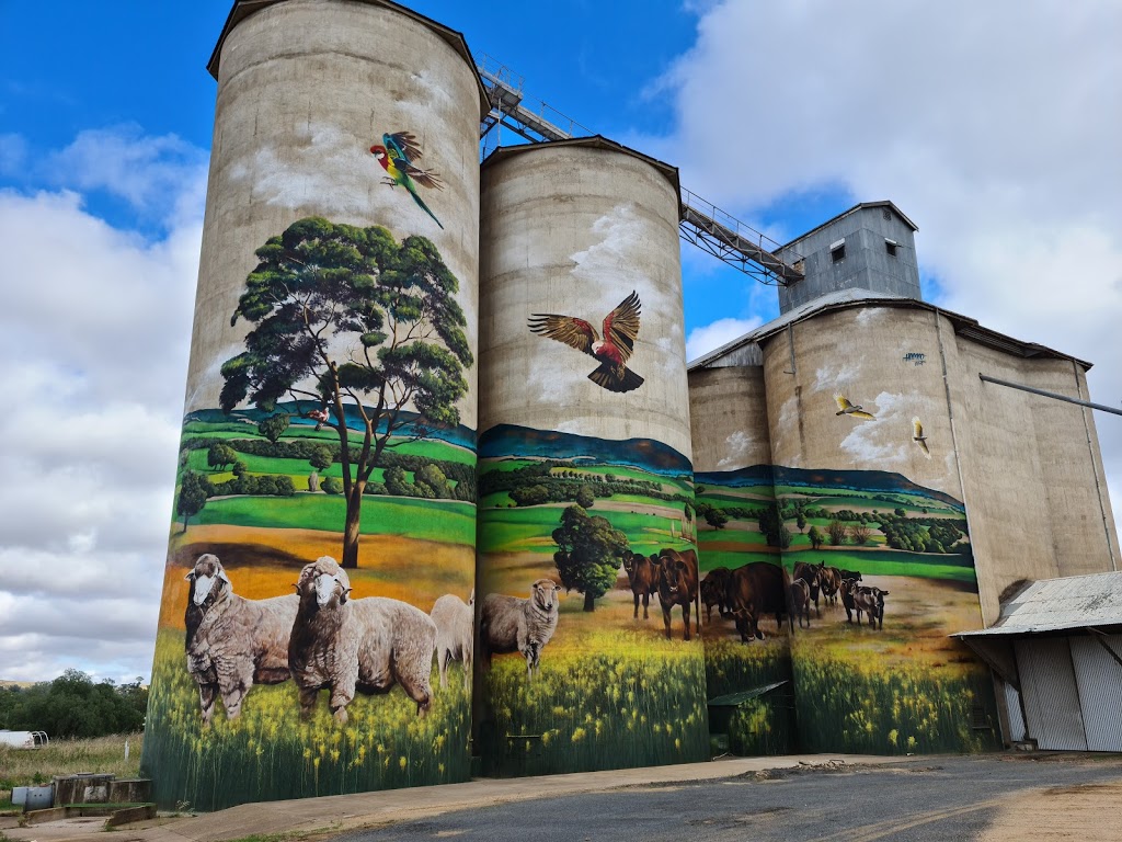 Grenfell Painted Silo by Heesco | tourist attraction | 42 West St, Grenfell NSW 2810, Australia | 0263432110 OR +61 2 6343 2110