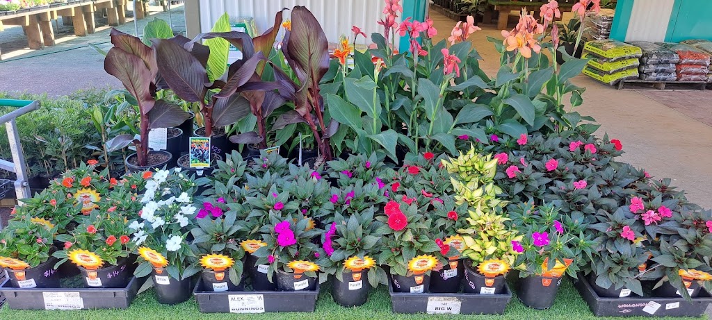 Plantastic Nursery | 522 Wingham Rd, Taree NSW 2430, Australia | Phone: (02) 6552 2308