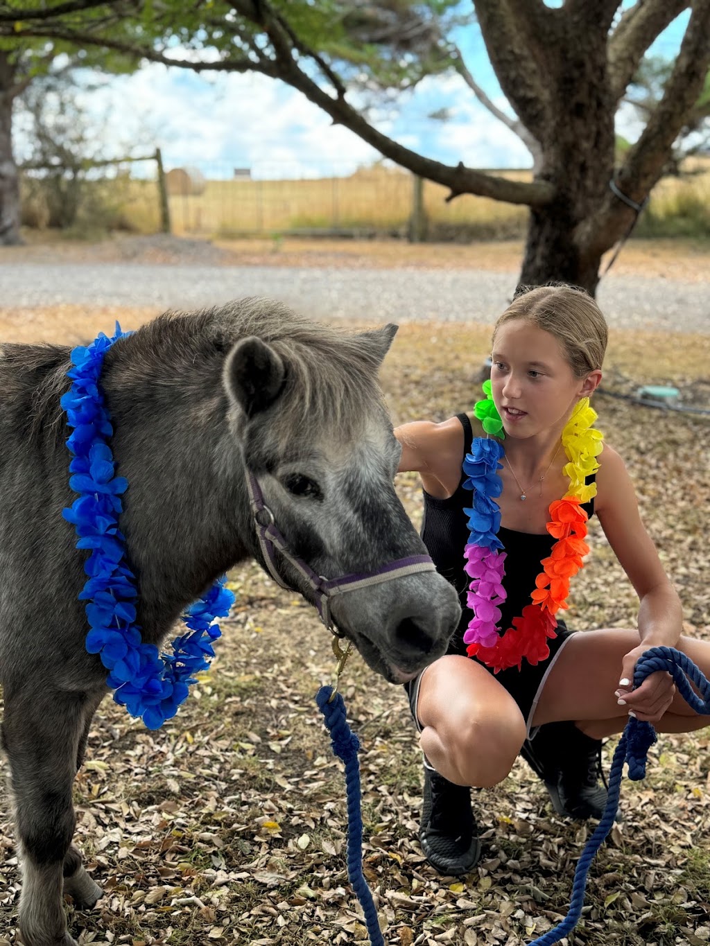 TLC Equine Assisted Therapy & Counselling | 284 Eltham-Yarra Glen Rd, Kangaroo Ground VIC 3097, Australia | Phone: 0421 918 983