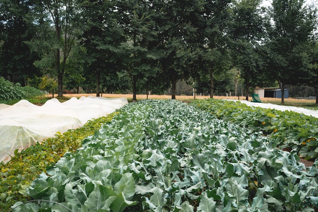 Five Tales Farm | 3525 Yarra Junction-Noojee Rd, Piedmont VIC 3833, Australia | Phone: 0466 979 331 Five Tales Farm | 3525 Yarra Junction-Noojee Rd, Piedmont VIC 3833, Australia | Phone: 0466 979 331