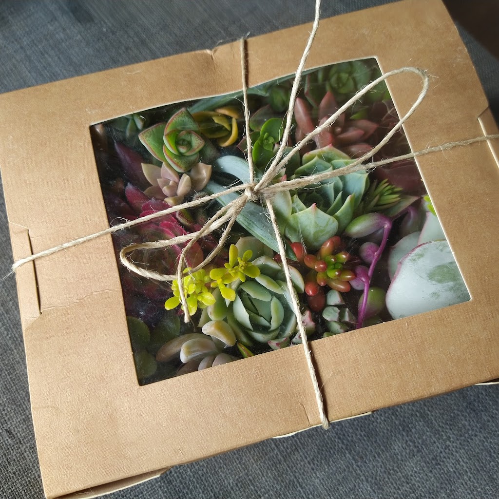 Xeriflora | Woodbridge Hill Rd, Gardners Bay TAS 7112, Australia | Phone: 0406 123 511