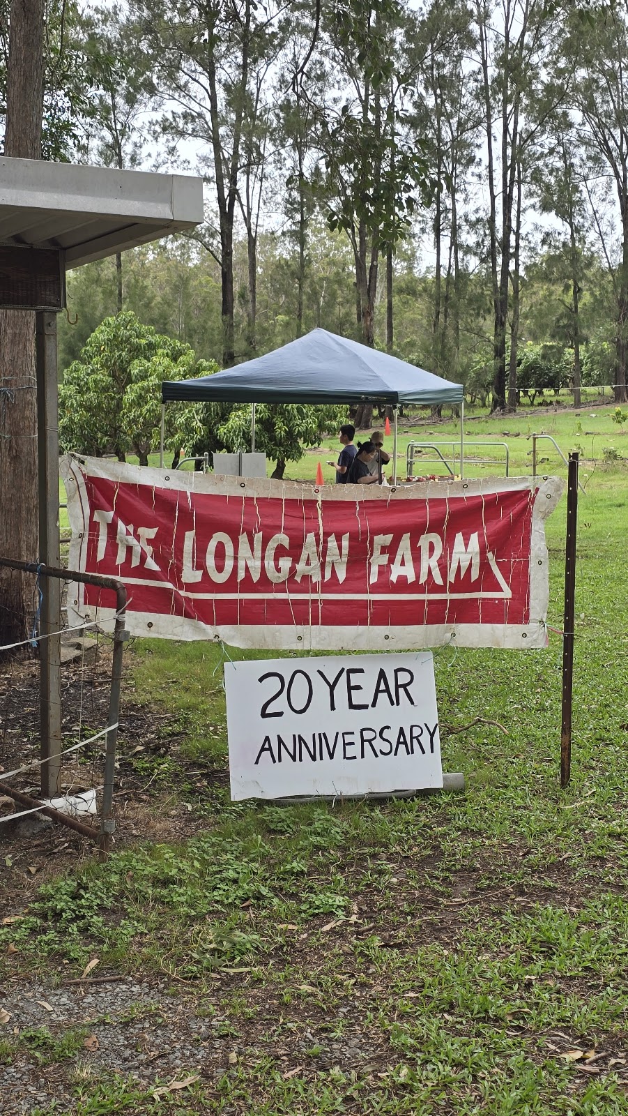 The Longan Farm | 359 Raynbird Rd, Narangba QLD 4504, Australia | Phone: 0482 978 053