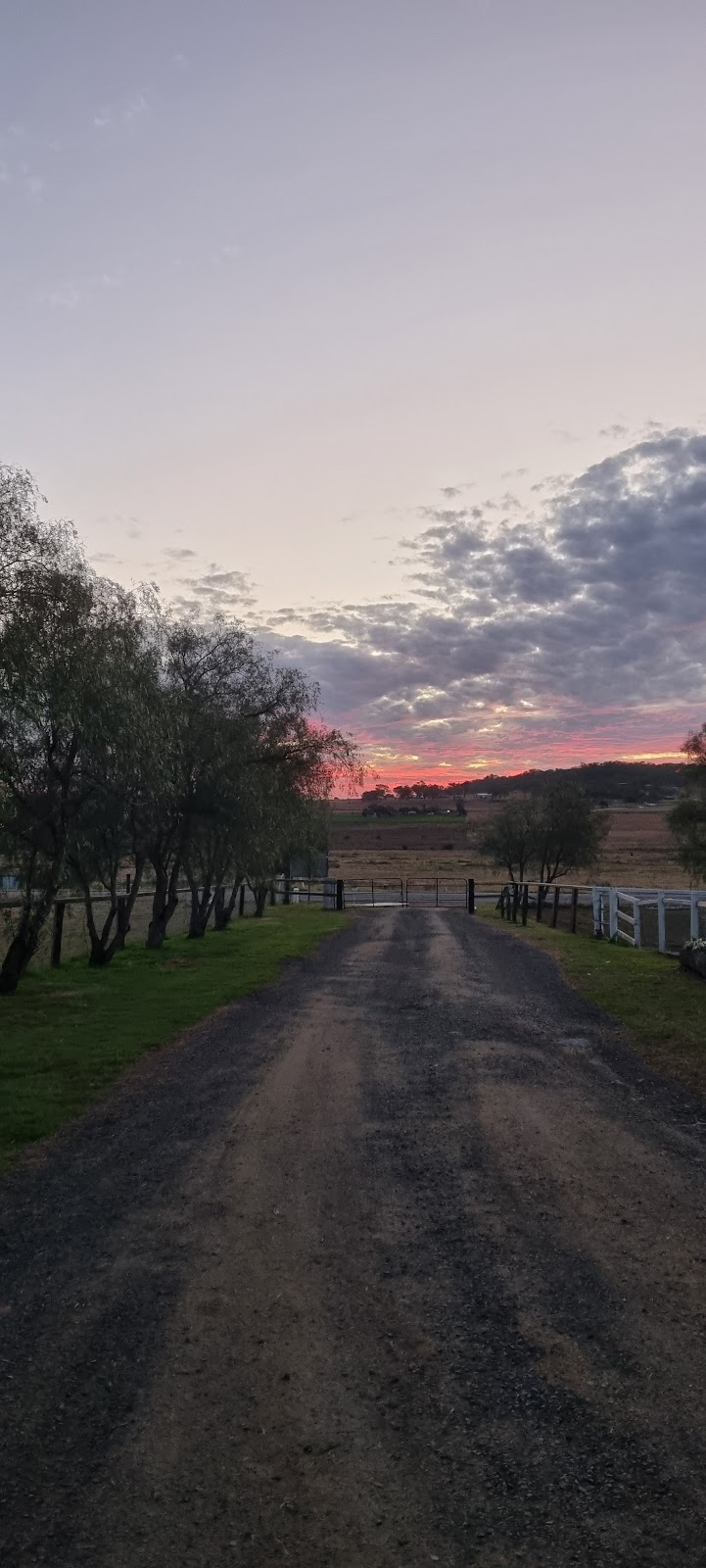 Highview park equestrian |  | 17341 New England Hwy, Allora QLD 4362, Australia | 0416882560 OR +61 416 882 560