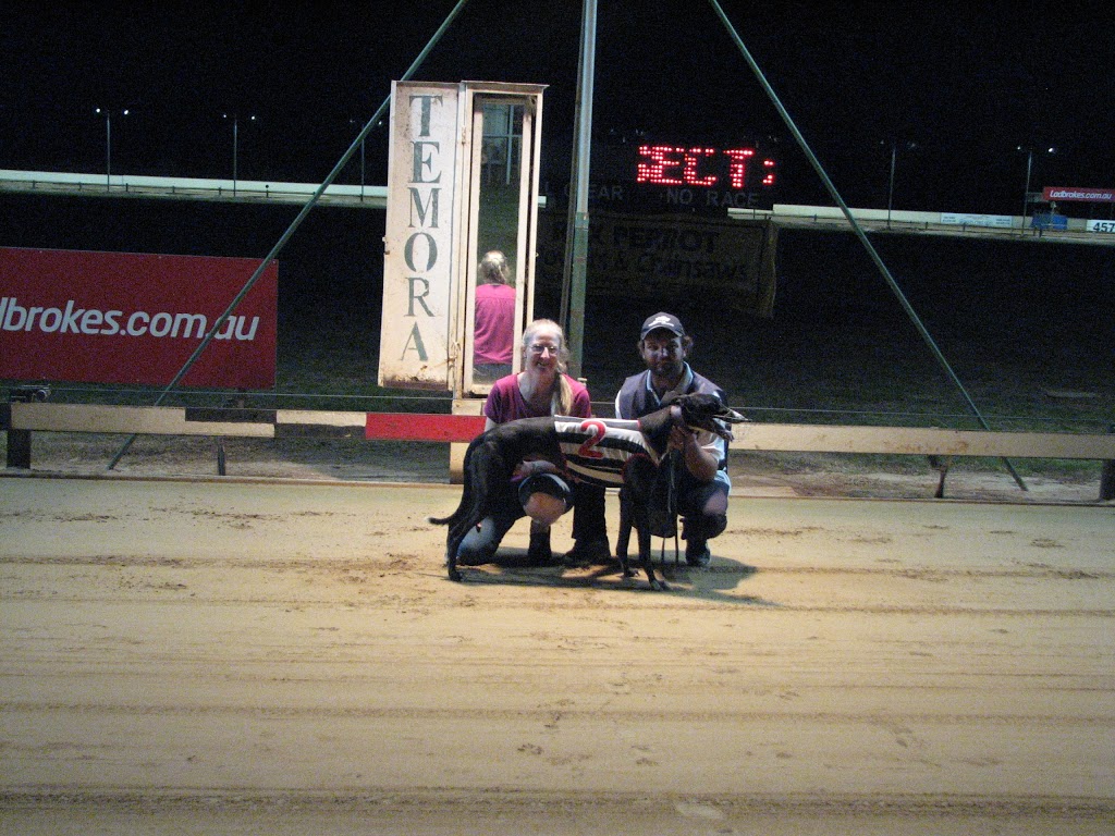 Temora Greyhound Racing Club | stadium | Gallipoli St, Temora NSW 2666, Australia | 0269771950 OR +61 2 6977 1950