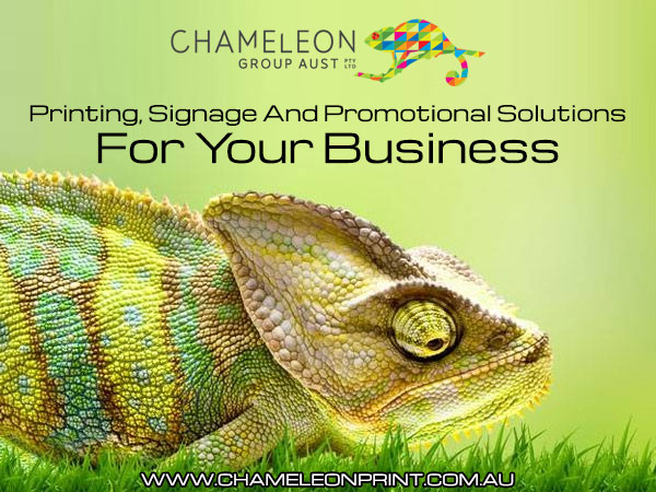 Chameleon Group | store | Hervey Bay, 16 Southern Cross Circuit, Urangan QLD 4655, Australia | 0741254688 OR +61 7 4125 4688