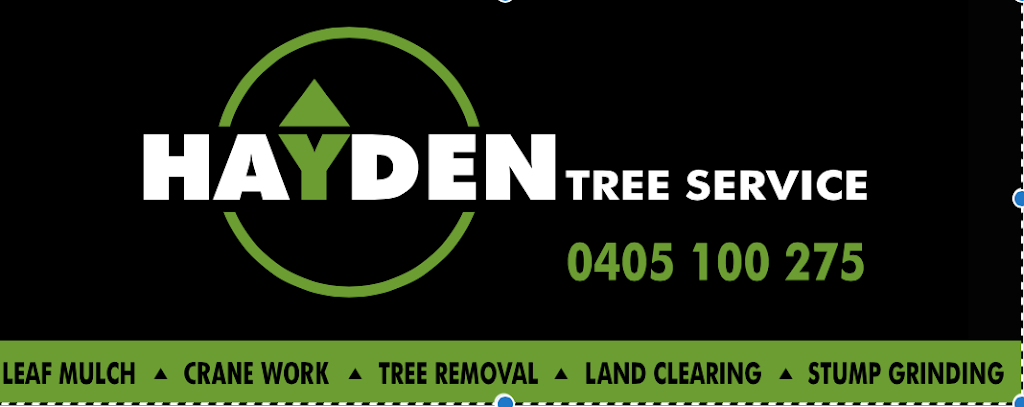 Hayden Tree Service | 9 Spinebill St, Cooranbong NSW 2265, Australia | Phone: 0405 100 275