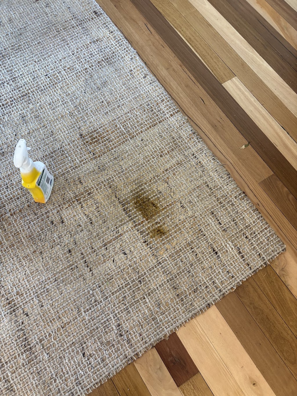 The Guys that Clean Carpet | 554 Niagara Ln, Kameruka NSW 2550, Australia | Phone: 0418 989 651