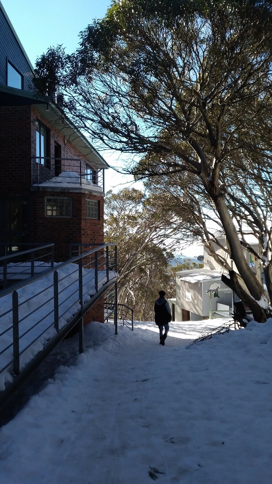 Sugarbush Lodge and Apartments | 10 Delatite Ln, Mount Buller VIC 3723, Australia | Phone: (03) 5777 6500