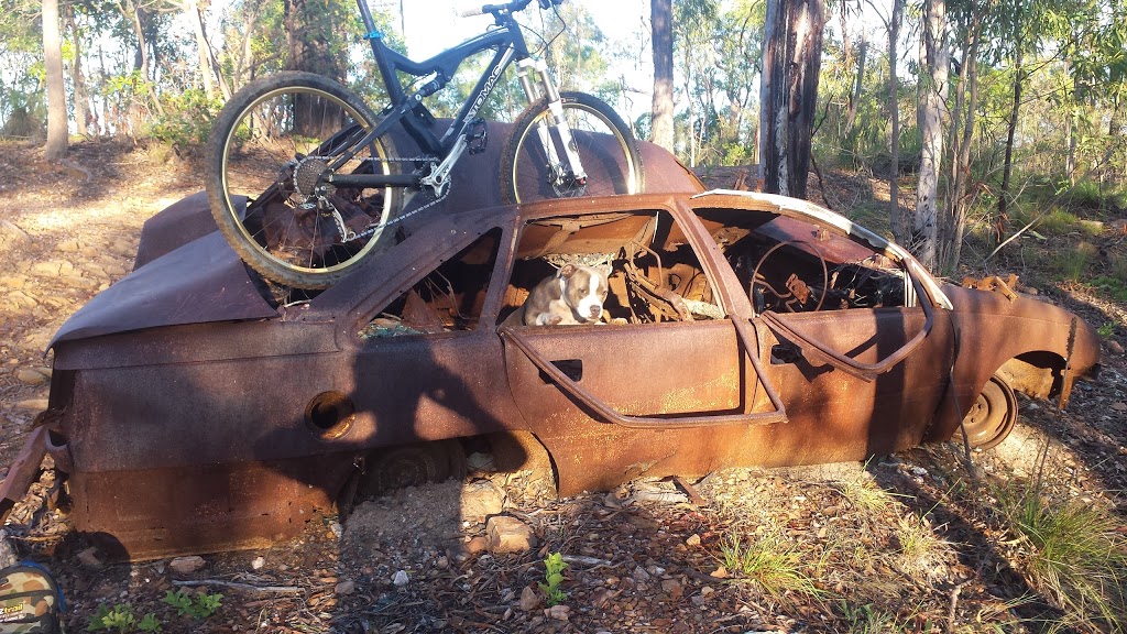 Boyne Island Conservation Park | Boyne Island QLD 4680, Australia