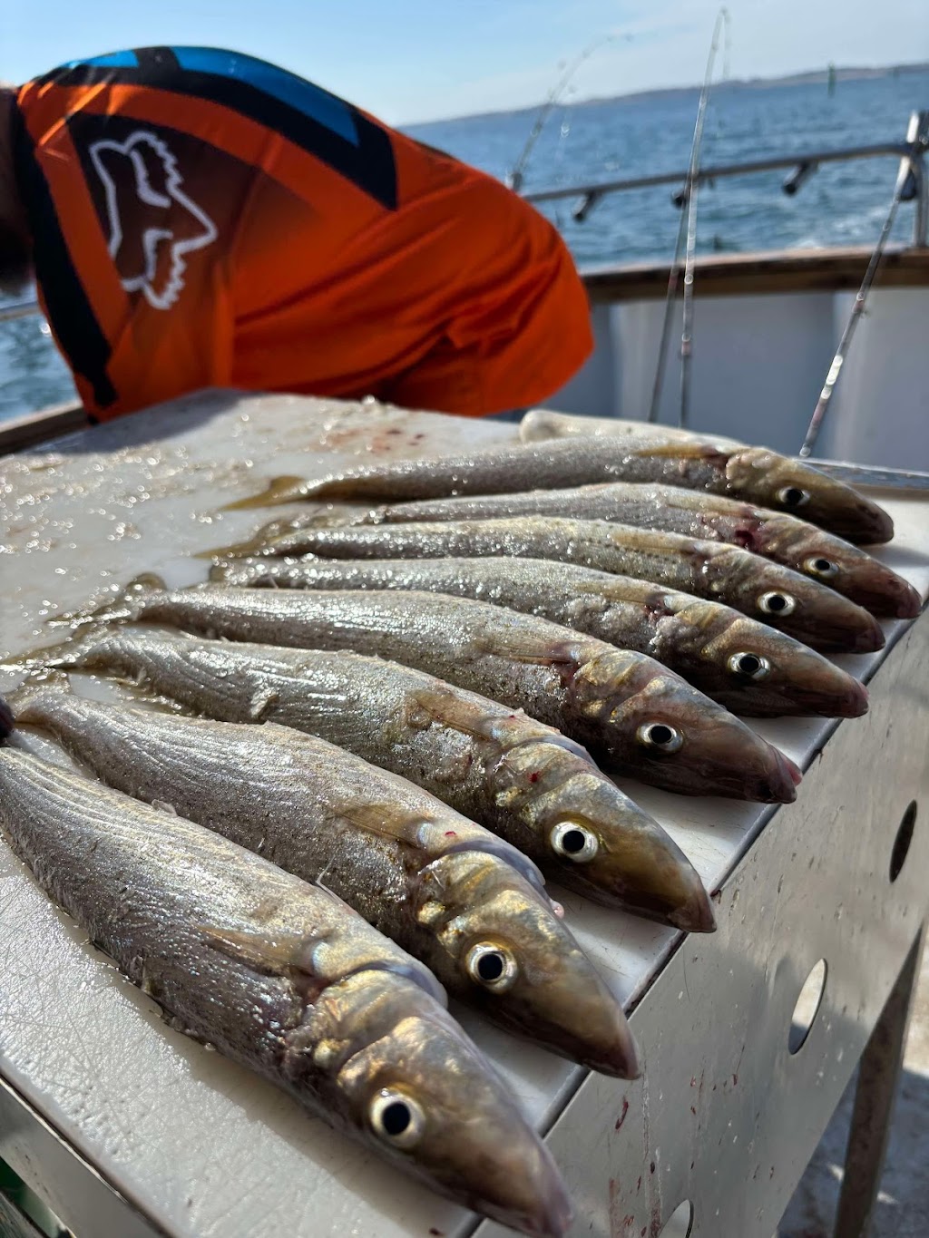 Newhaven Fishing Charters | Rhyll Jetty, Beach Rd, Rhyll VIC 3923, Australia | Phone: 0412 220 437