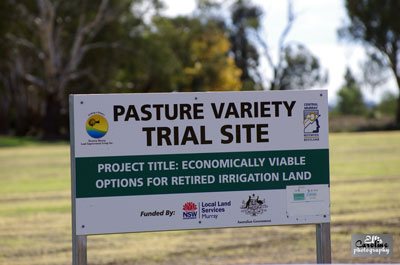 Western Murray Land Improvement Group Inc | 27 Thule St, Barham NSW 2732, Australia | Phone: (03) 5453 1577