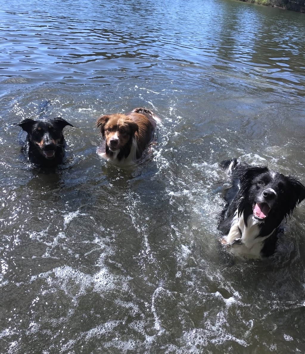Wags Petcare | Cromer Rd, Cromer NSW 2099, Australia | Phone: 0426 171 191