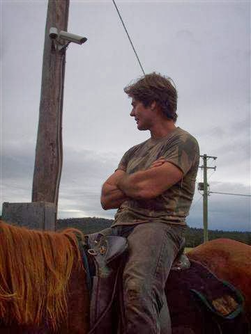 Nowra Horse Agistment | 1012 Yalwal Rd, Barringella NSW 2540, Australia | Phone: 0419 851 477