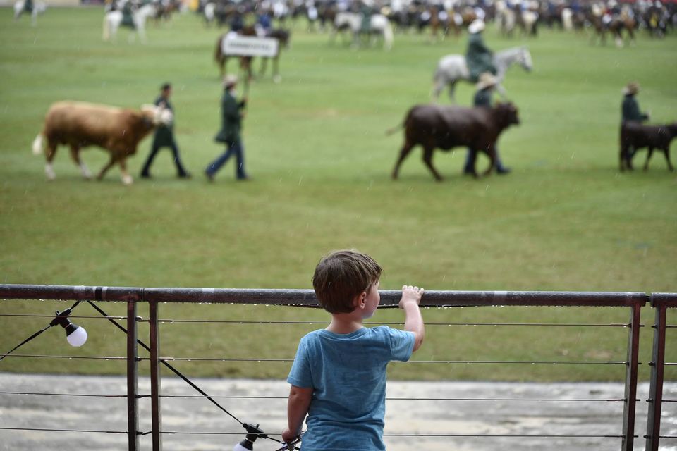 Royal Agricultural Society of NSW | 1 Showground Rd, Sydney Olympic Park NSW 2127, Australia | Phone: (02) 9704 1111