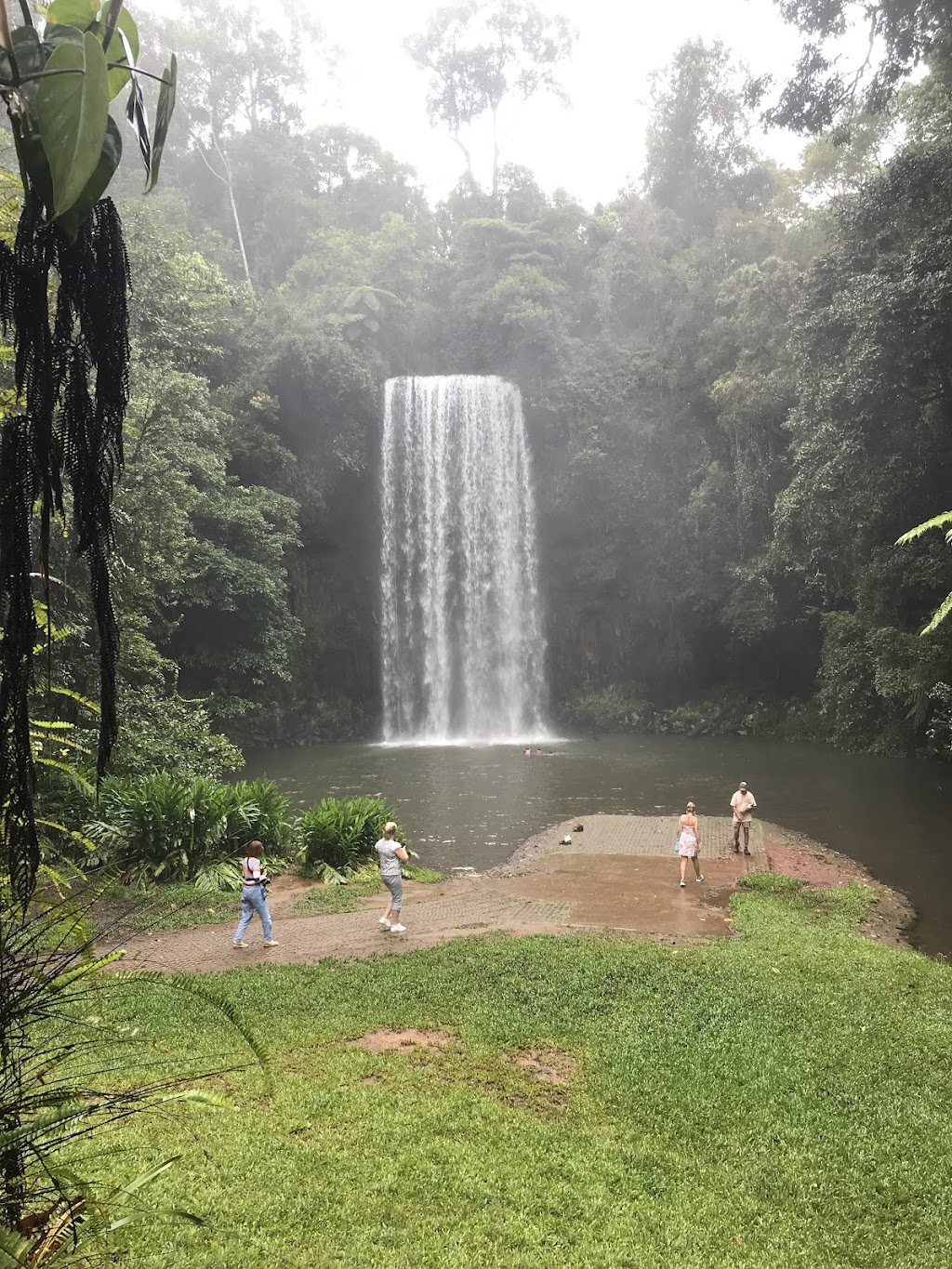 Via Travel Australia | Autopia Tours | East Coast Comfort Tours | 21 Warwiba Rd, Old Bar NSW 2430, Australia | Phone: (02) 7229 1083