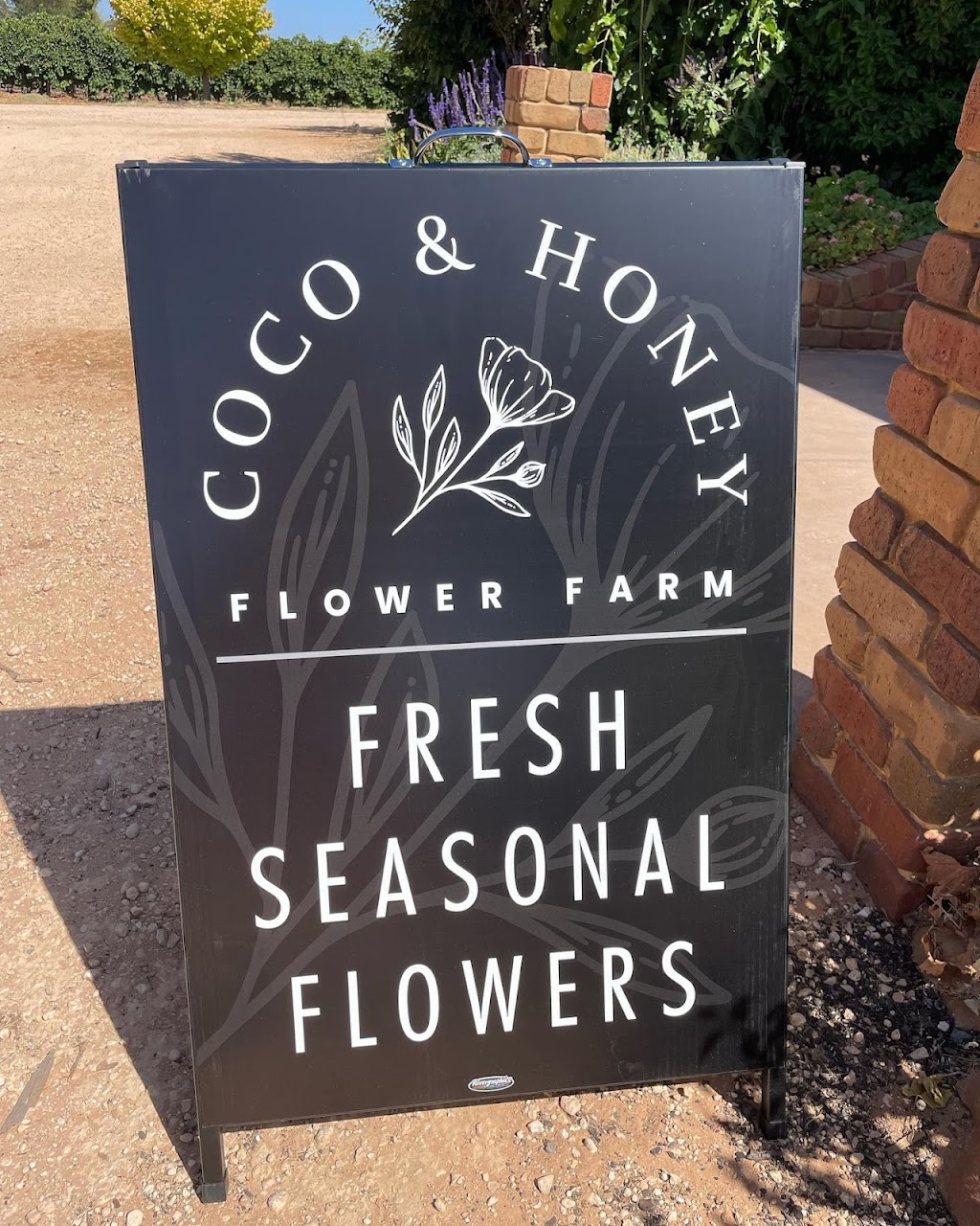 Coco and Honey Flower Farm |  | 99 Richter Rd, Monash SA 5342, Australia | 0409937707 OR +61 409 937 707