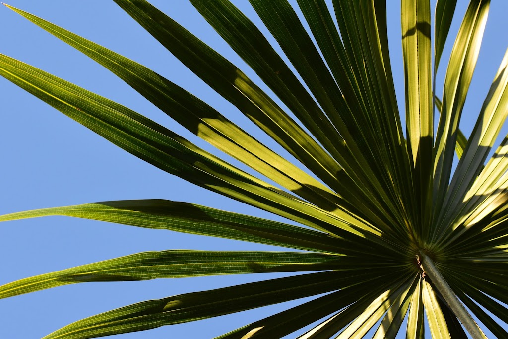 Florioscape Gardens | Lennox Head NSW 2478, Australia | Phone: 0428 059 104