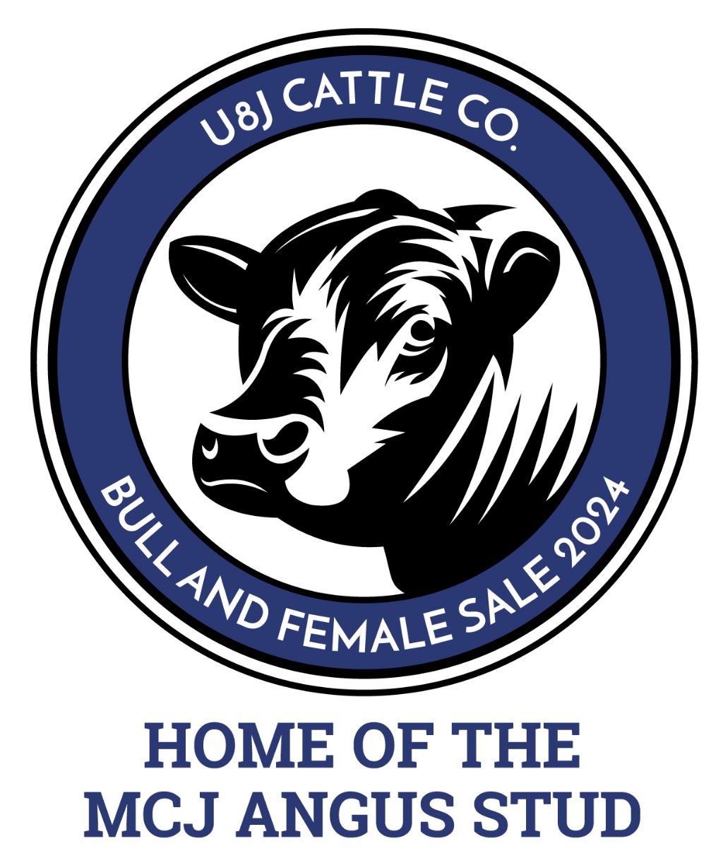 U8J Cattle Co | 376 Dalby Nungil Rd, Dalby QLD 4405, Australia | Phone: 0455 724 625
