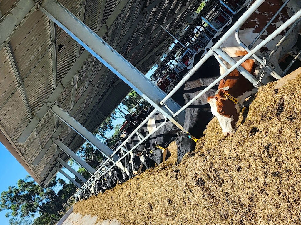 Jaileigh Pty Ltd | 110 Eight Mile Rd, Nar Nar Goon VIC 3812, Australia | Phone: 0438 627 179