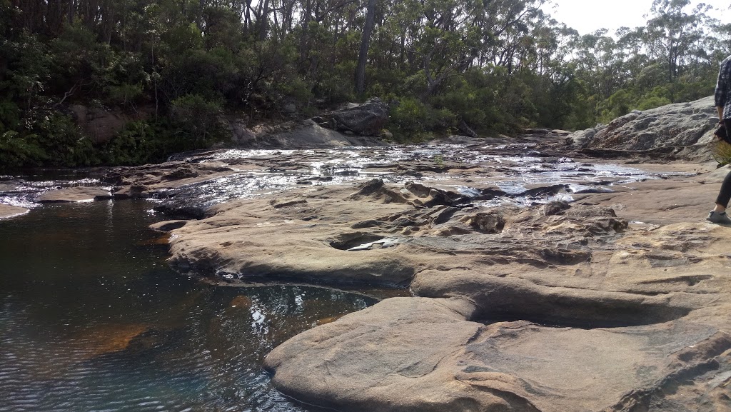 Nellies Glen picnic area | park | Cloonty Road, Robertson NSW 2577, Robertson NSW 2577, Australia