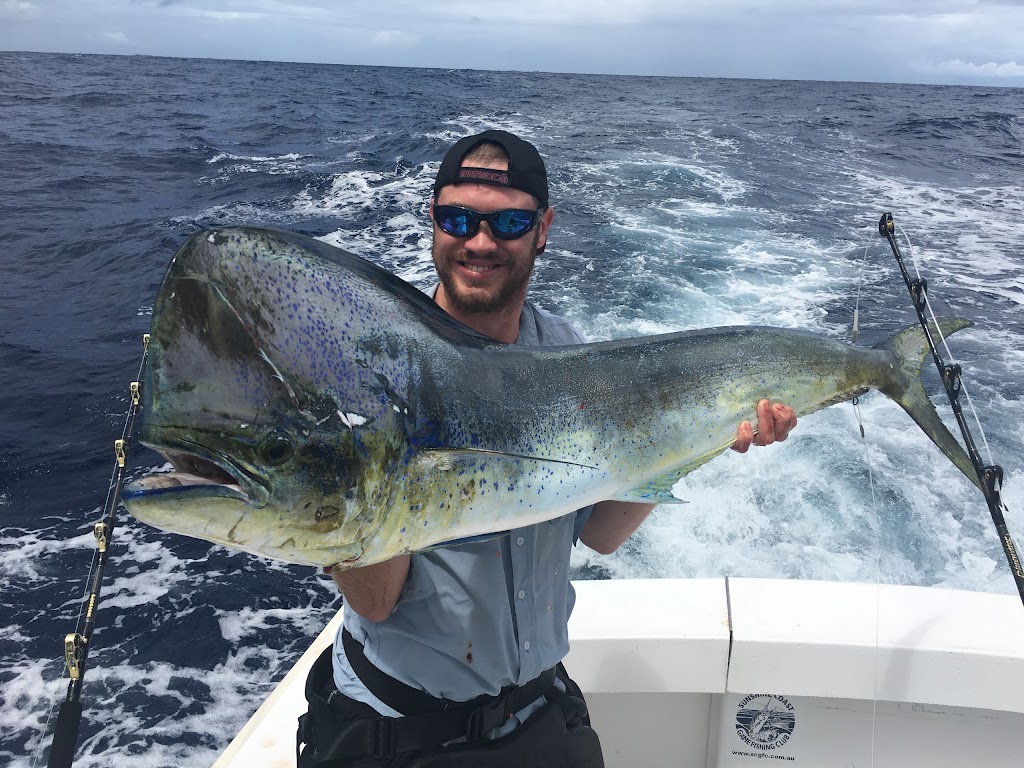 Moreton Island Fishing Charters |  | Wyvernleigh Cl, Manly QLD 4179, Australia | 0413128056 OR +61 413 128 056