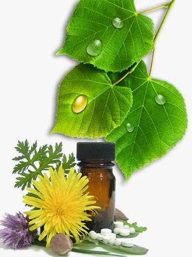 Sydney Homeopathic Care | health | 81 Northampton Dr, Glenfield NSW 2167, Australia | 0430714487 OR +61 430 714 487