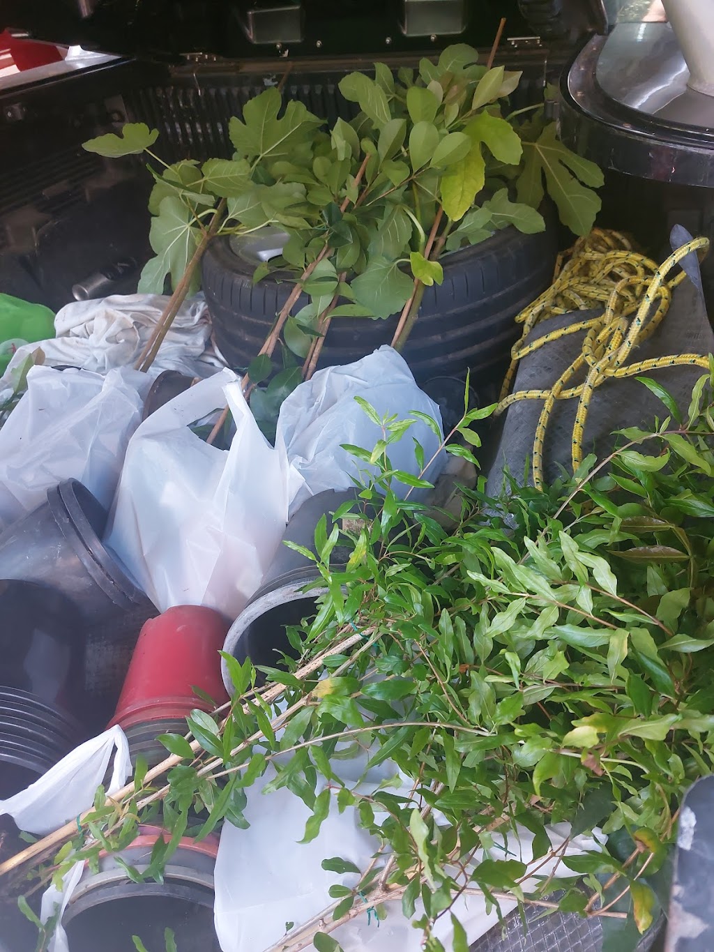 Medowie Markets operates 2nd Saturday of the month | 37A Ferodale Rd, Medowie NSW 2318, Australia | Phone: 0422 744 293