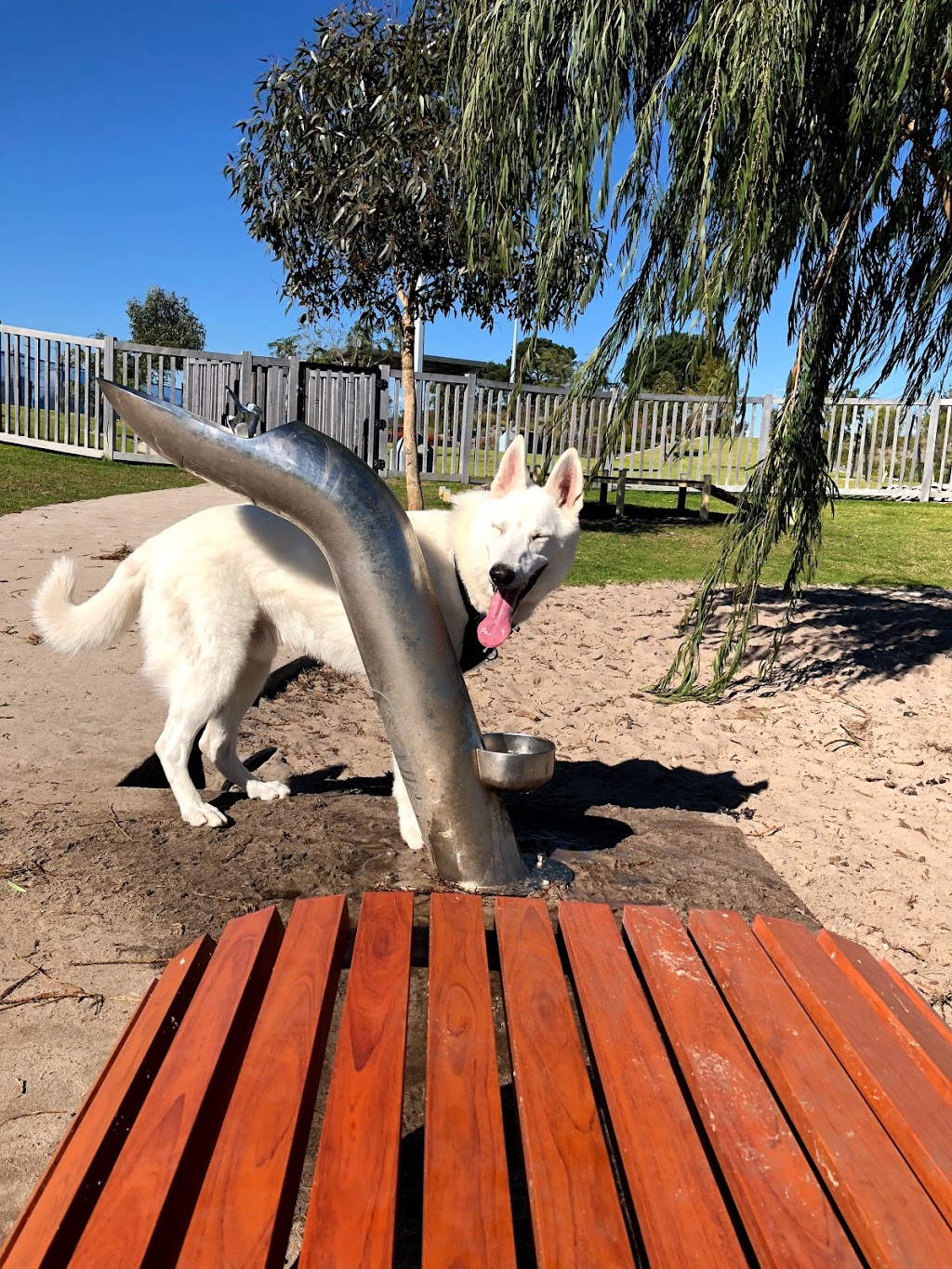 Calleya Dog Park | park | Abelia Road, Banjup WA 6164, Australia