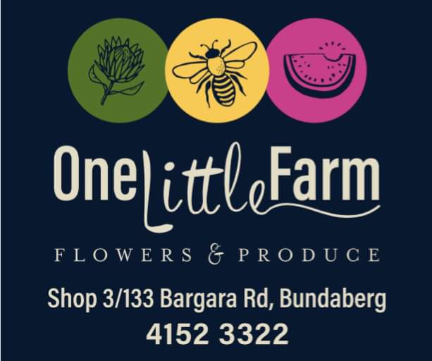 One Little Farm- Flowers and Produce | store | 133 Bargara Rd, Bundaberg East QLD 4670, Australia | 0741523322 OR +61 7 4152 3322