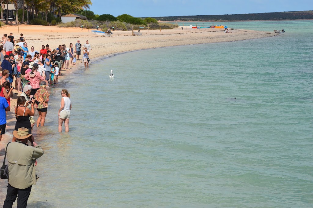 Wildsights Cruises | Jetty WA 6537, Australia | Phone: (08) 9948 1481