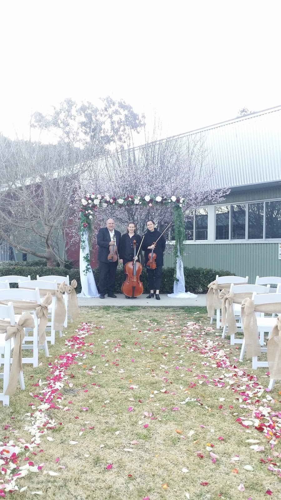 The Offenbach Strings |  | 402 Beenham Valley Rd, Beenaam Valley QLD 4570, Australia | 0753444008 OR +61 7 5344 4008