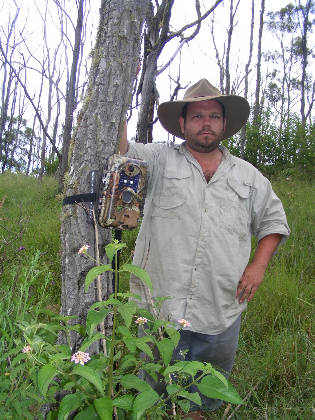 Queensland Deer Management Group, Australian Deer Association | 75 Roderick St, Cornubia QLD 4130, Australia | Phone: (07) 3806 1488