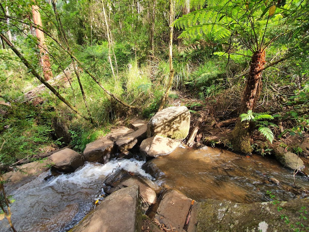 Olinda Falls |  | Falls Track, Olinda VIC 3788, Australia | 131963 OR +61 131963