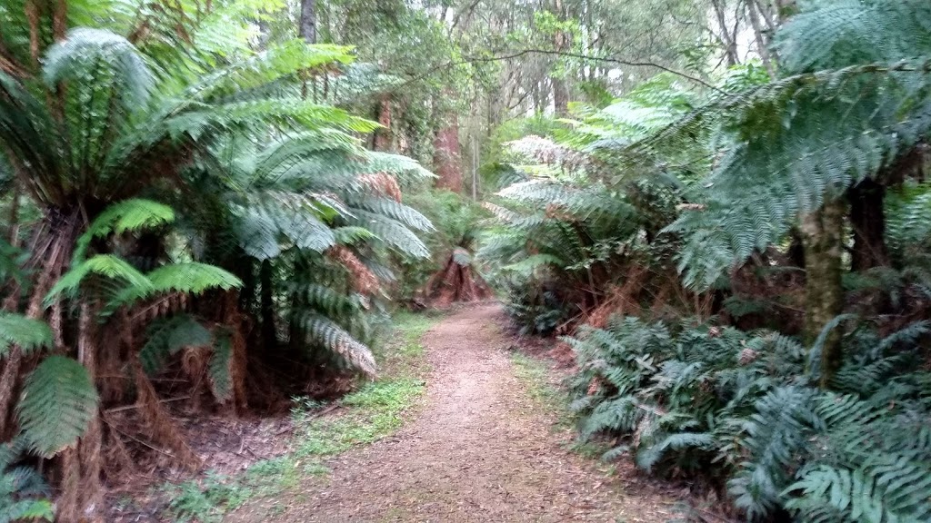 Aire Crossing campsite | campground | Air River Crossing Track Great Otway National Park, Johanna VIC 3238, Australia