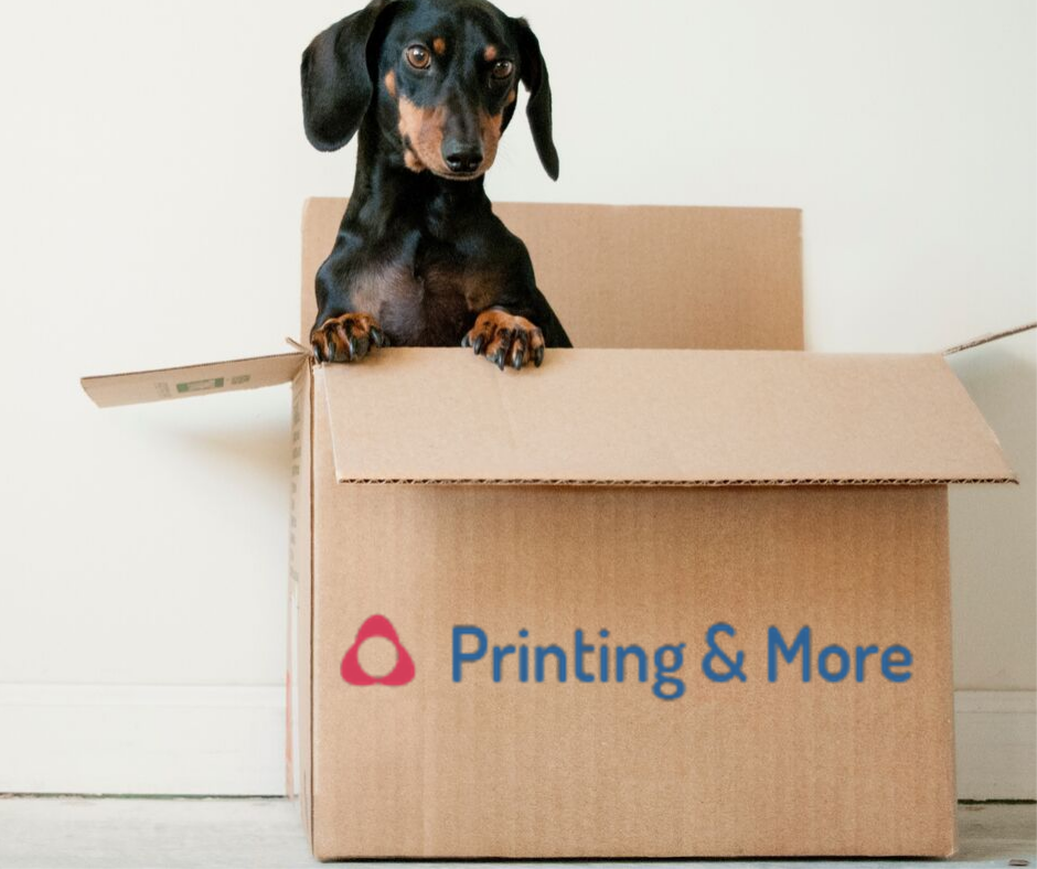 Printing & More Kew | 38/16 Cotham Rd, Kew VIC 3101, Australia | Phone: (03) 8609 9651