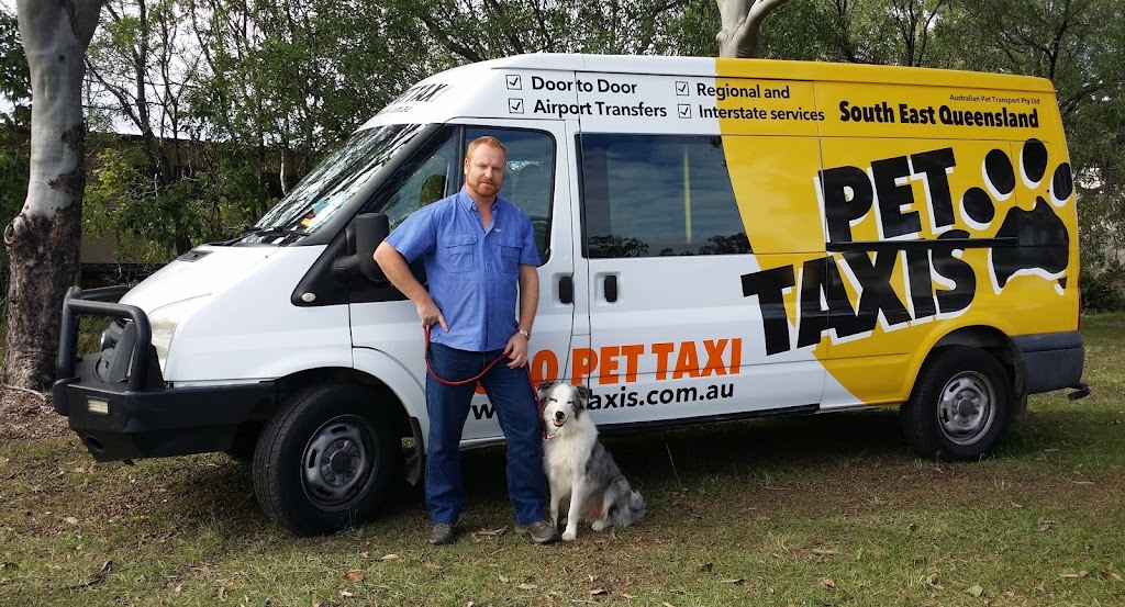 Pet Taxis, Newcastle, Sydney, Central Coast & Hunter Valley | 139C Moira Park Rd, Morisset NSW 2264, Australia | Phone: 0411 738 829