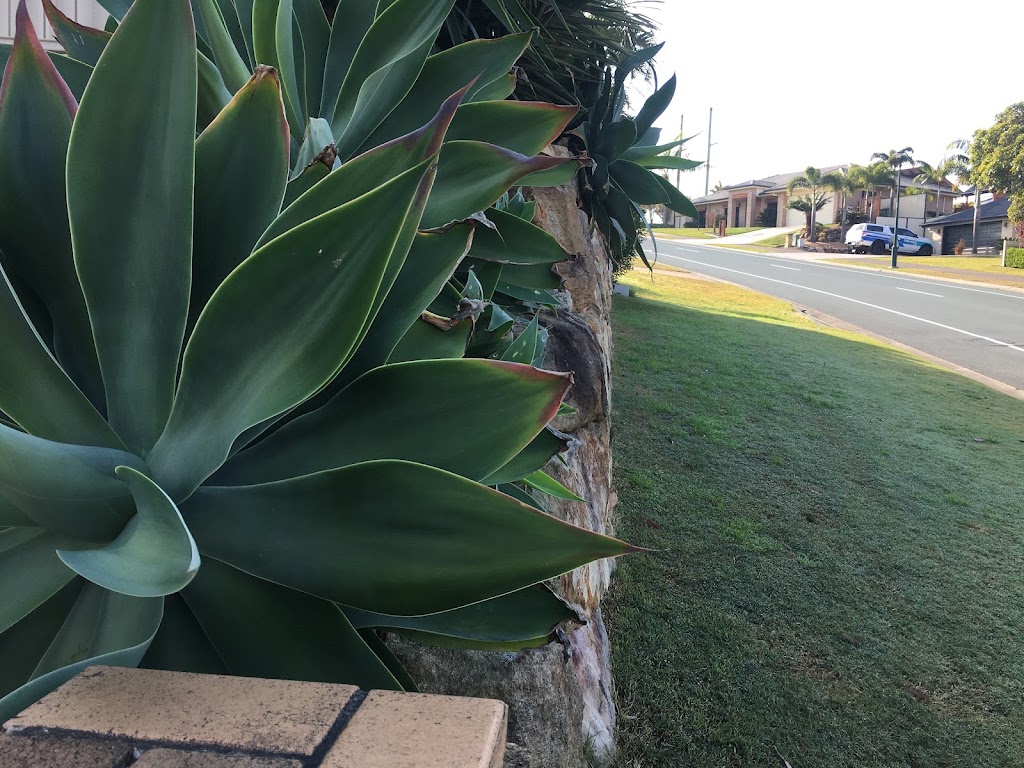 Rock walls on Gold Coast | Unit 2/9 Kelsey Cct, Nerang QLD 4211, Australia | Phone: 0404 876 720