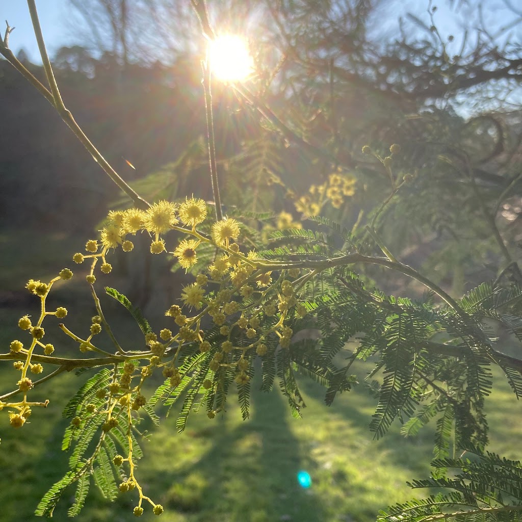 Jane Hope Spiritual Director and Retreat Guide | 215 Beenak E Rd, Gembrook VIC 3783, Australia | Phone: (03) 5968 1211