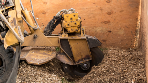 Cut Price Tree Service | Servicing Bankstown, Canterbury, Fairfield, Liverpool, Parramatta, Homebush Villawood, Guildford, Granville, Lidcombe, Merrylands, Auburn, Greystanes Cabramatta, Yagoona, Greenacre, Revesby, Strathfield, Milperra, 12 Badger Ave, Sefton NSW 2162, Australia | Phone: 0405 647 163