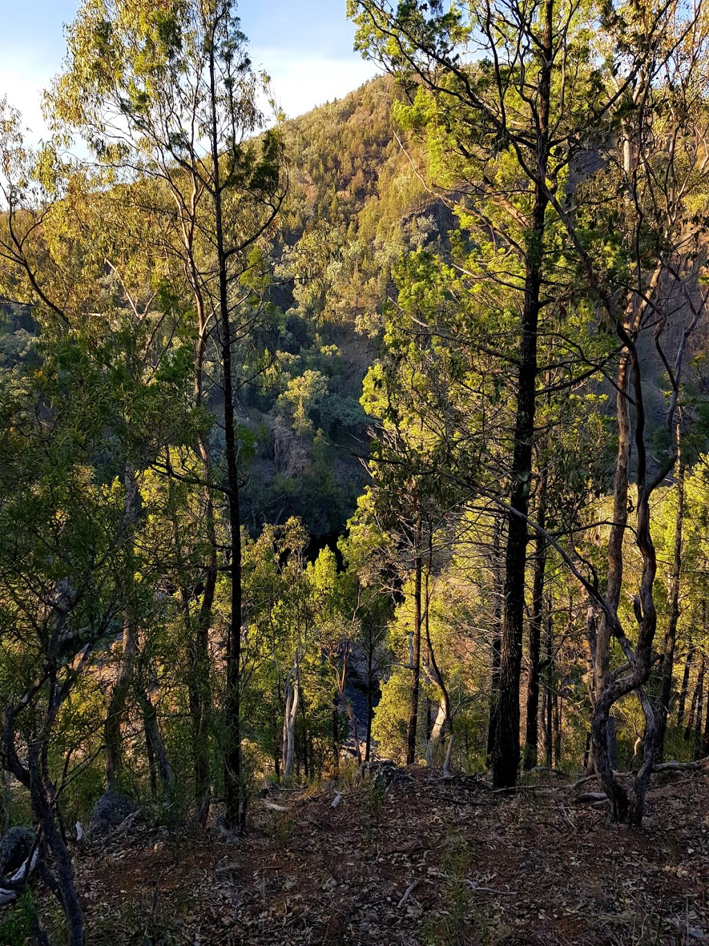 Nundubbermere Falls Camping Area | Sundown QLD 4380, Australia