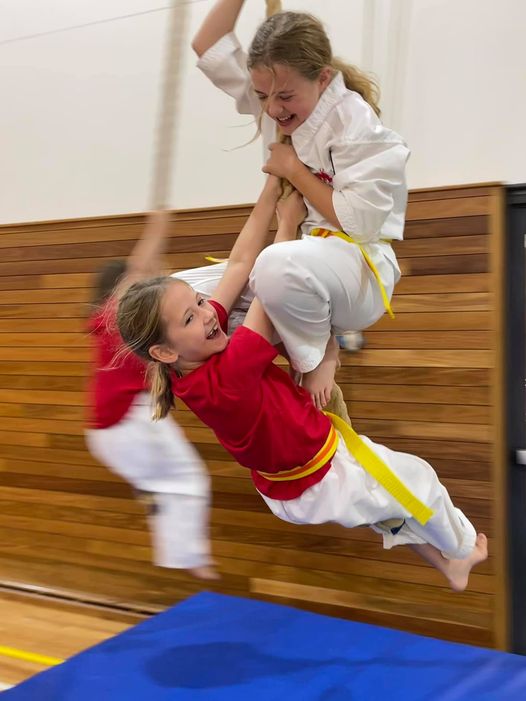 Dragon Taekwondo | 33 Myoora Rd, Terrey Hills NSW 2084, Australia | Phone: 0408 962 040