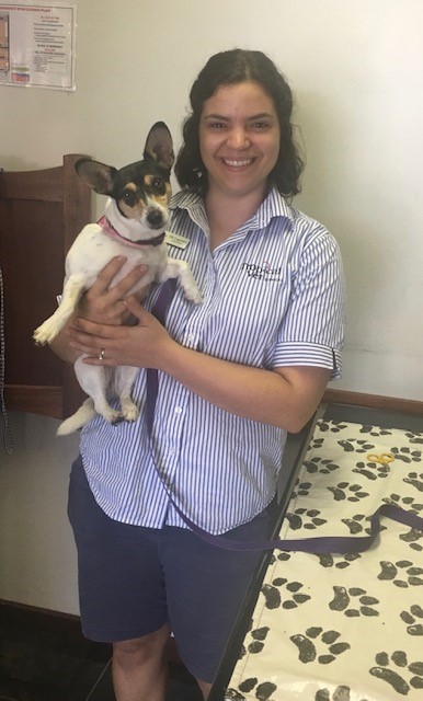 Tropical Vet Services - Cardwell | pharmacy | 129 Victoria St, Cardwell QLD 4849, Australia | 0409741823 OR +61 409 741 823